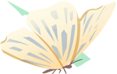 icon_2